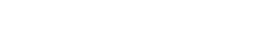 Professional Cargo Packers and Movers